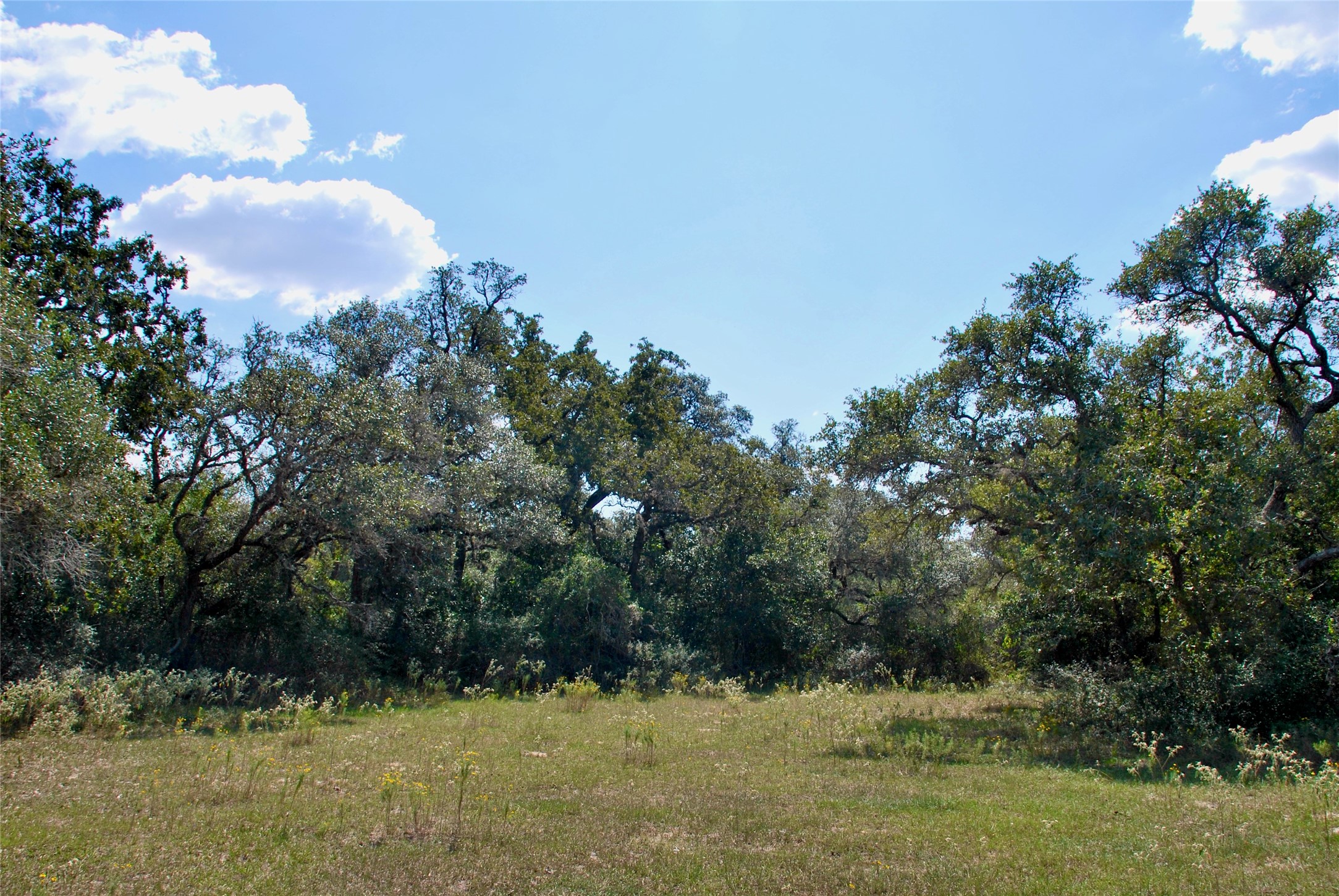 3033 County Road 18 Hallettsville, TX 77964 - Photo 47 of 50