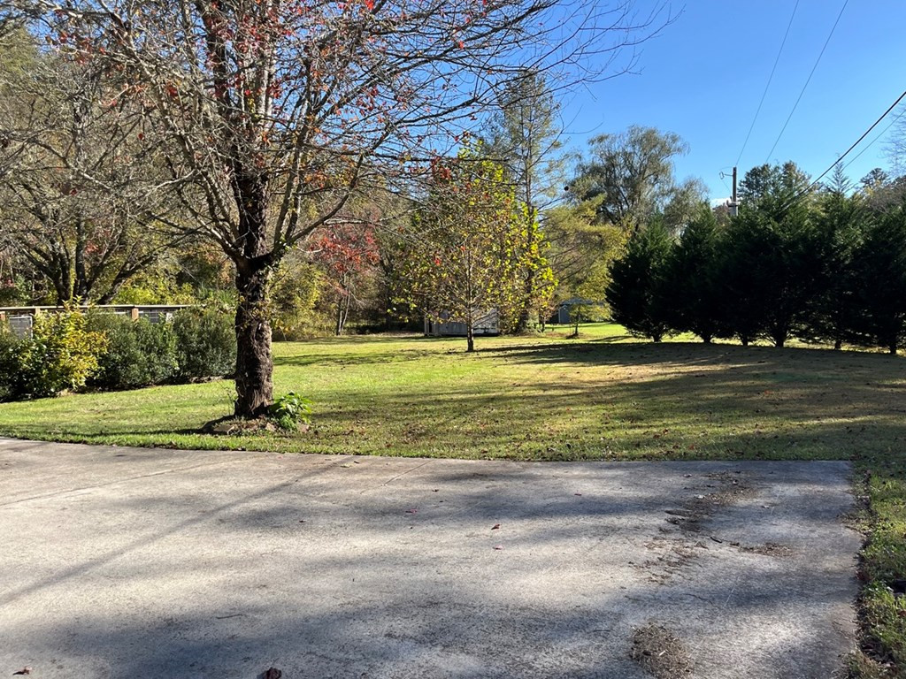 282 Myers Branch Road Murphy, NC 28906 - Photo 4 of 51