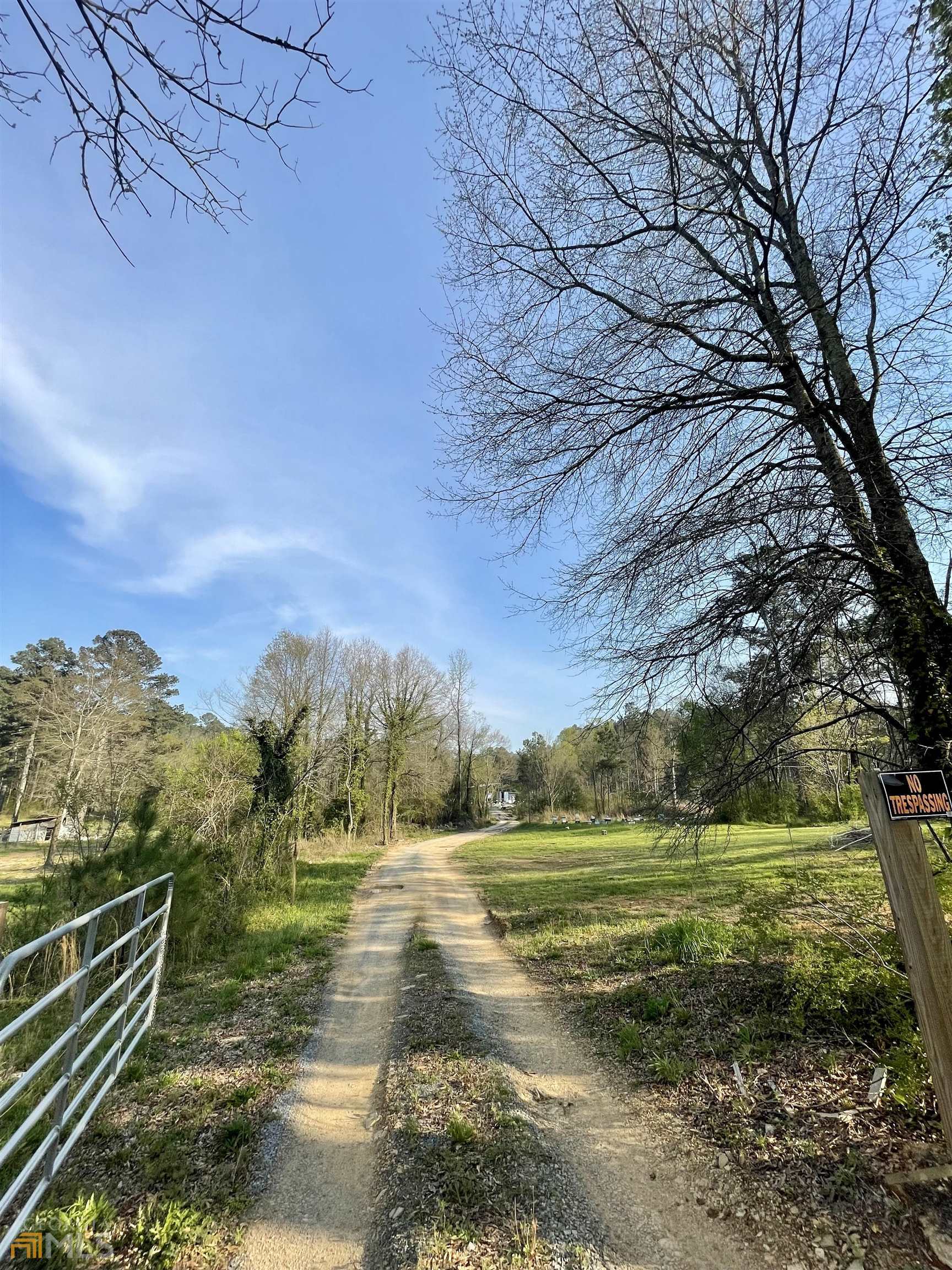 a view of a field with large trees