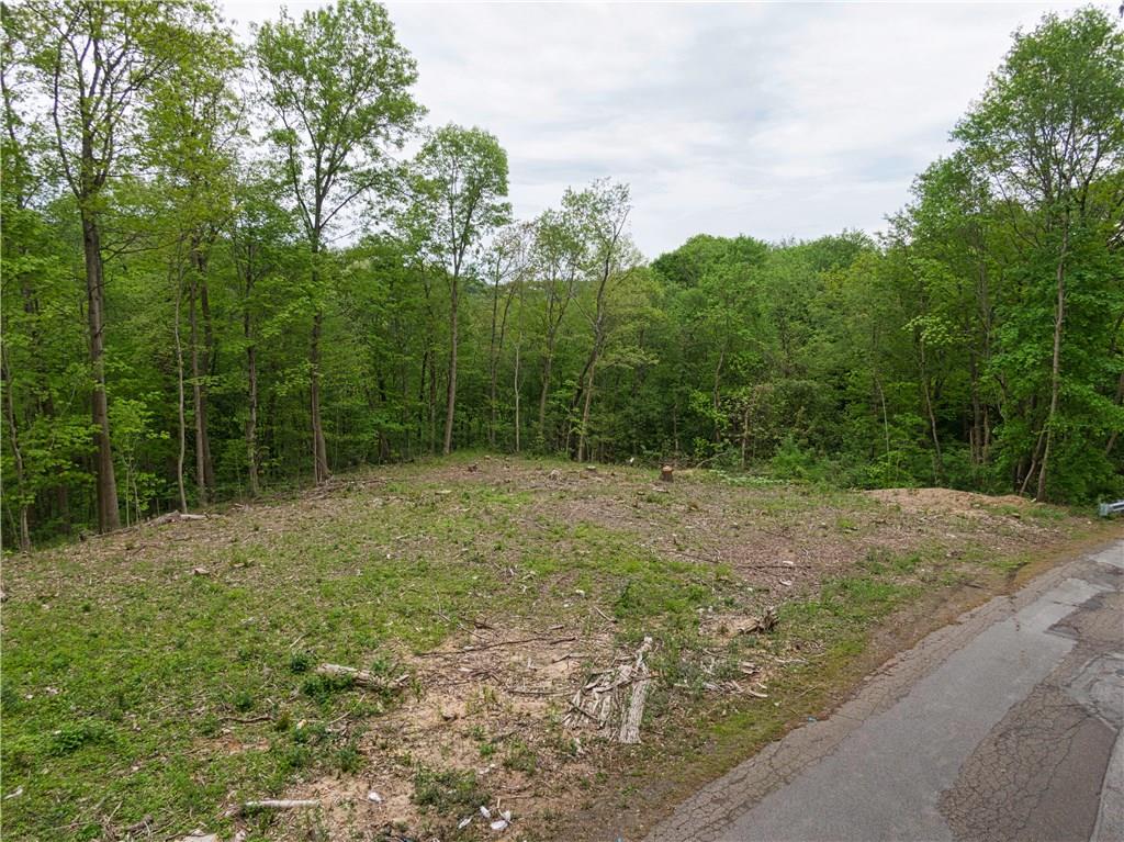 Lot 3 Temple Road Aliquippa, PA 15001 - Photo 1 of 5 Gallery Image 1