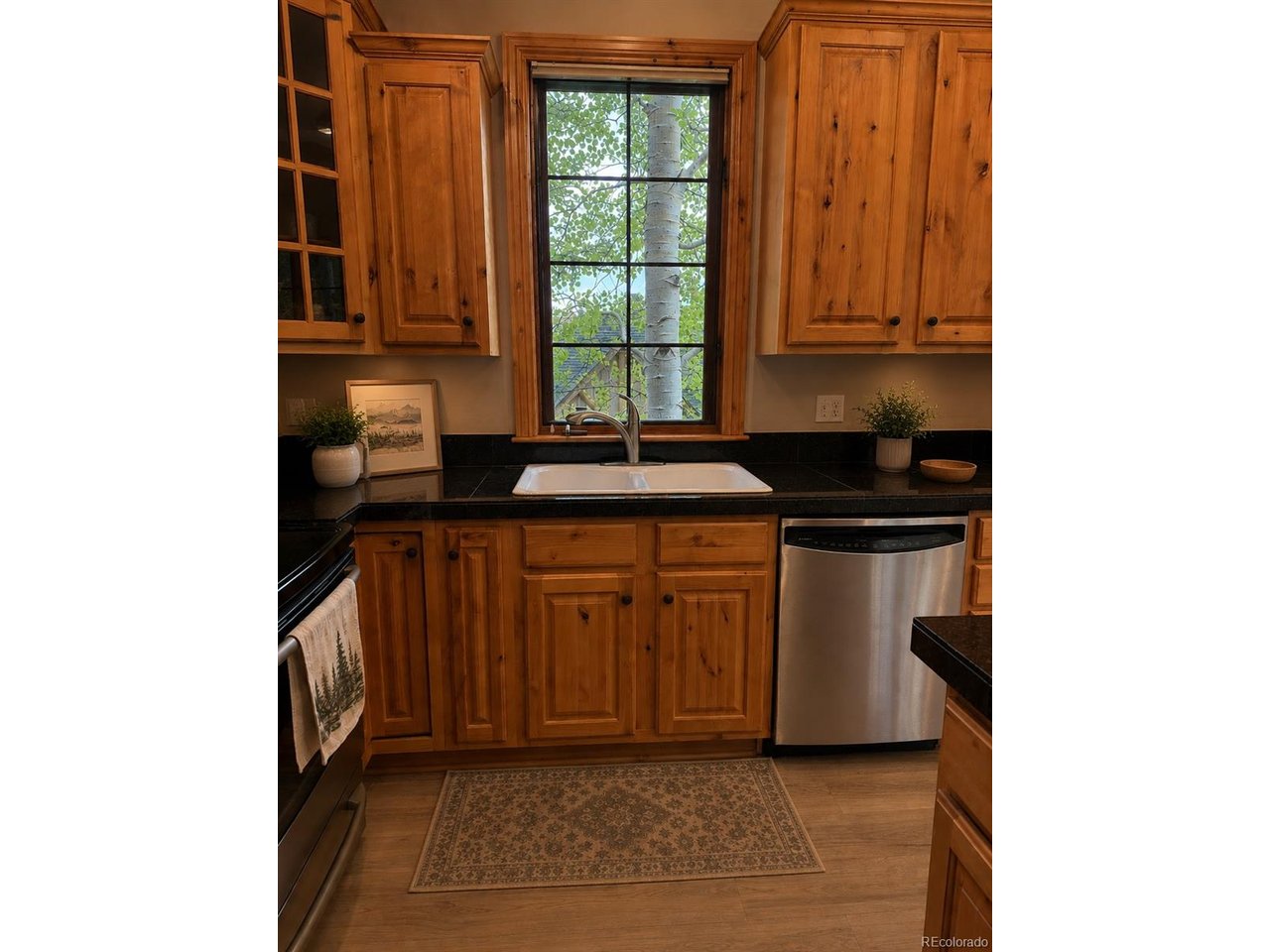 31276 Stone Canyon Road, Unit 206 Evergreen, CO 80439 - Photo 5 of 23