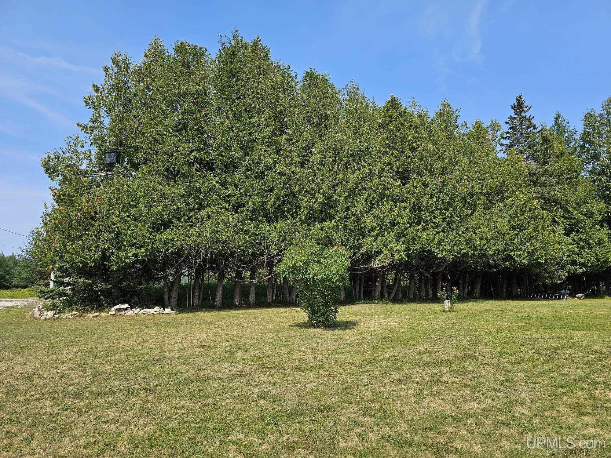 1121 North Co Road Gulliver, MI 49840 - Photo 33 of 37