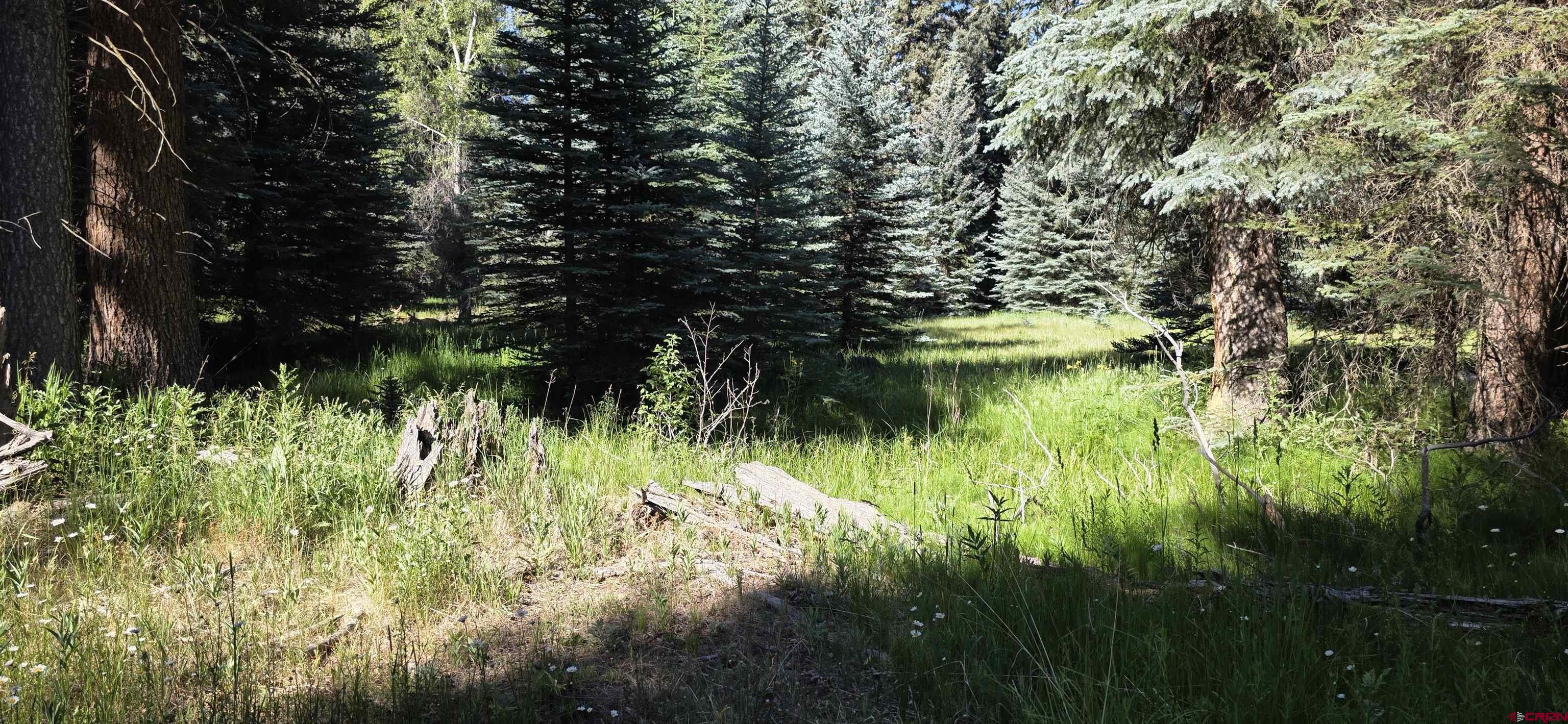 201 Golden Forest Road Bayfield, CO 81122 - Photo 21 of 37