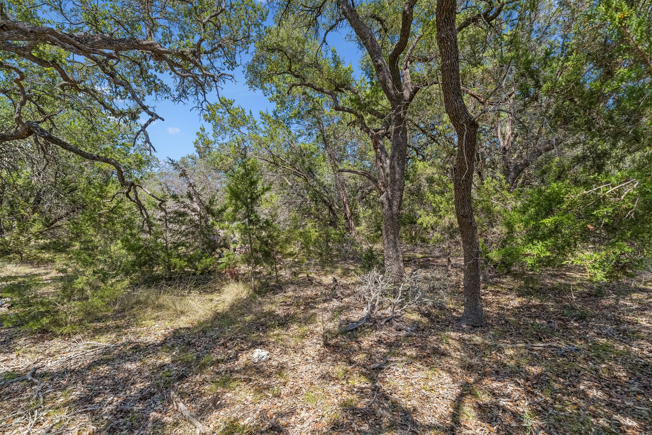 854 Maximino Ridge Road Bulverde, TX 78163 - Photo 10 of 32 Gallery Image 10