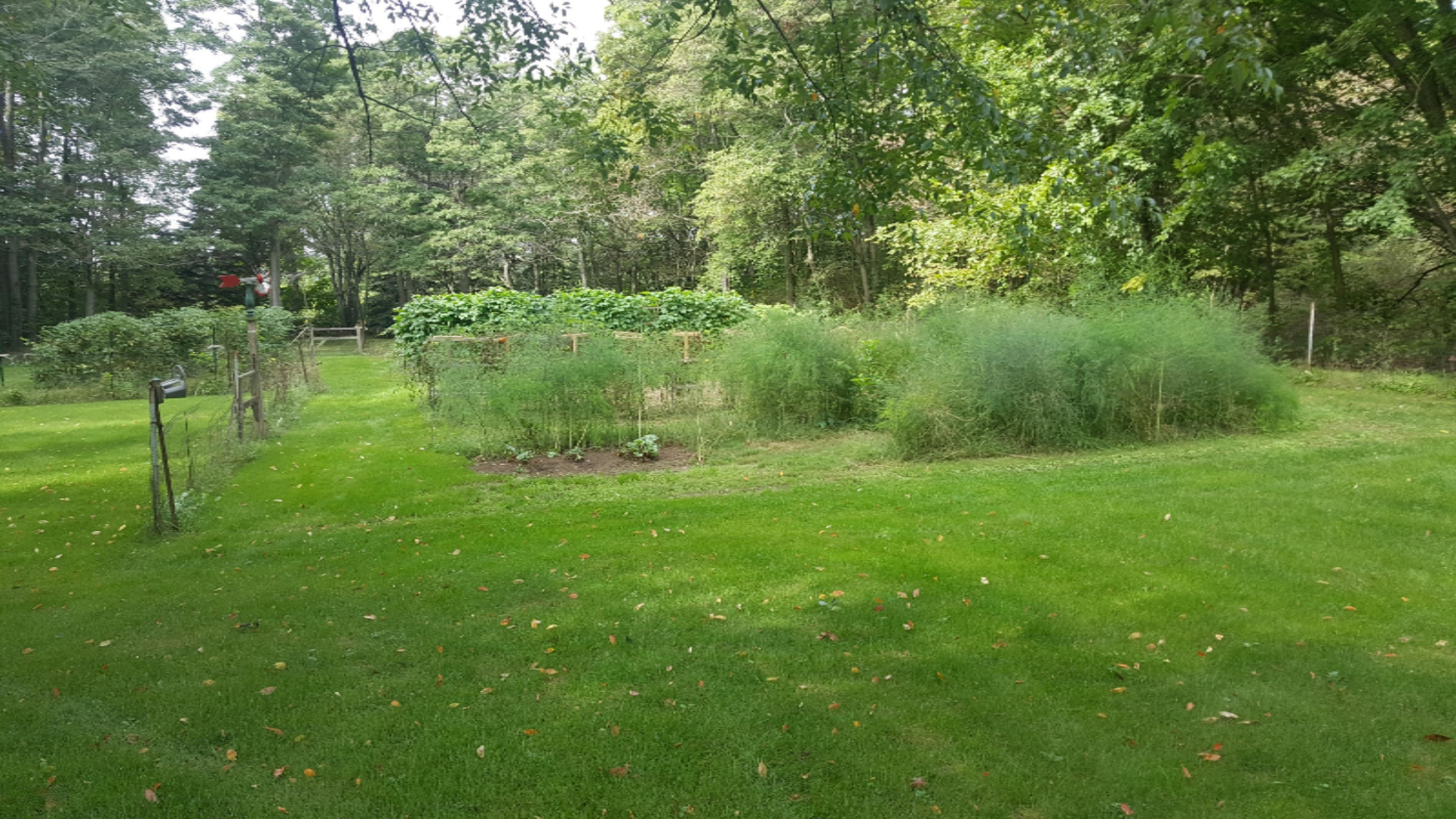 69122 Brady Road Edwardsburg, MI 49112 - Photo 30 of 33 20160924_123241