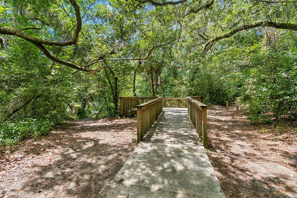6065 Spring Crayfish Avenue New Port Richey, FL 34653 - Photo 50 of 61