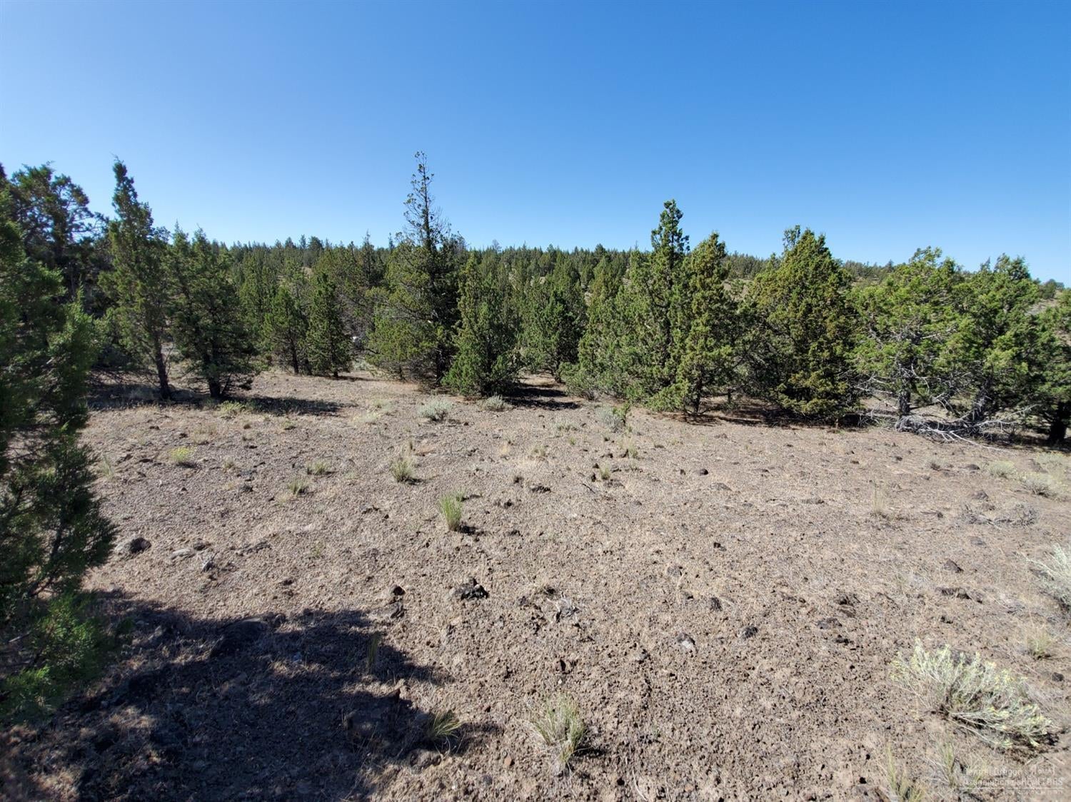 0 Southeast Seneca Road Prineville, OR 97754 - Photo 6 of 9 Additional Photo