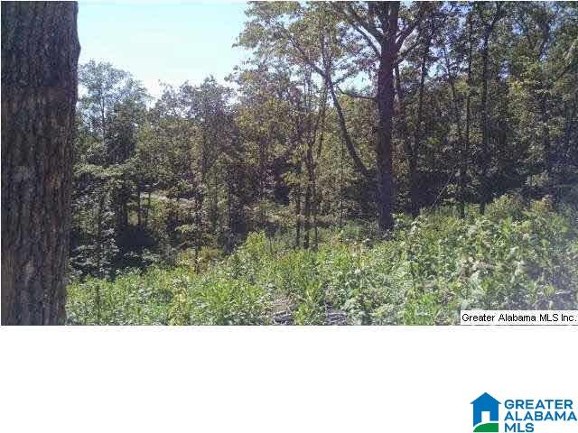 0 Beaver Ridge Drive, Unit 42 48 Ashville, AL 35953 - Photo 14 of 26