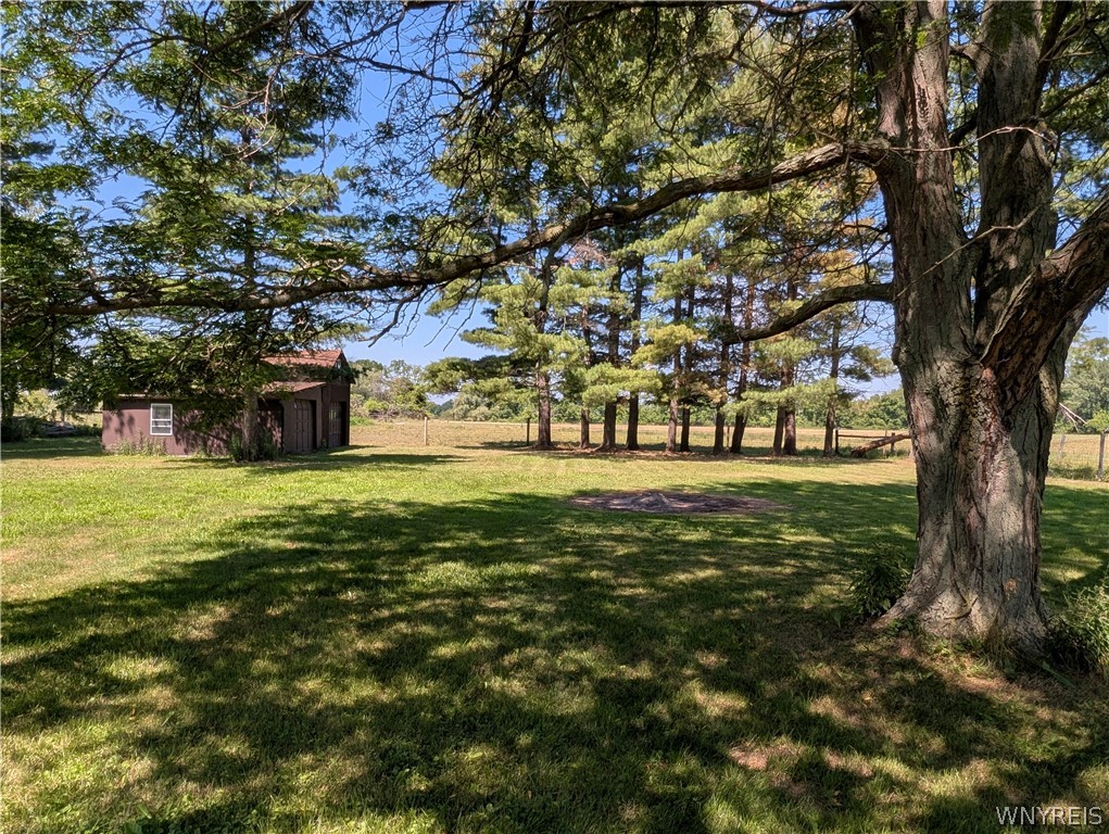 3402 Fruit Avenue Ridgeway, NY 14103 - Photo 42 of 50