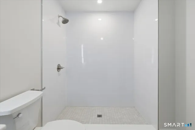 a bathroom with a shower and toilet