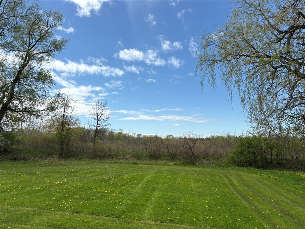 51 Palmer Road Riga, NY 14428 - Photo 3 of 27