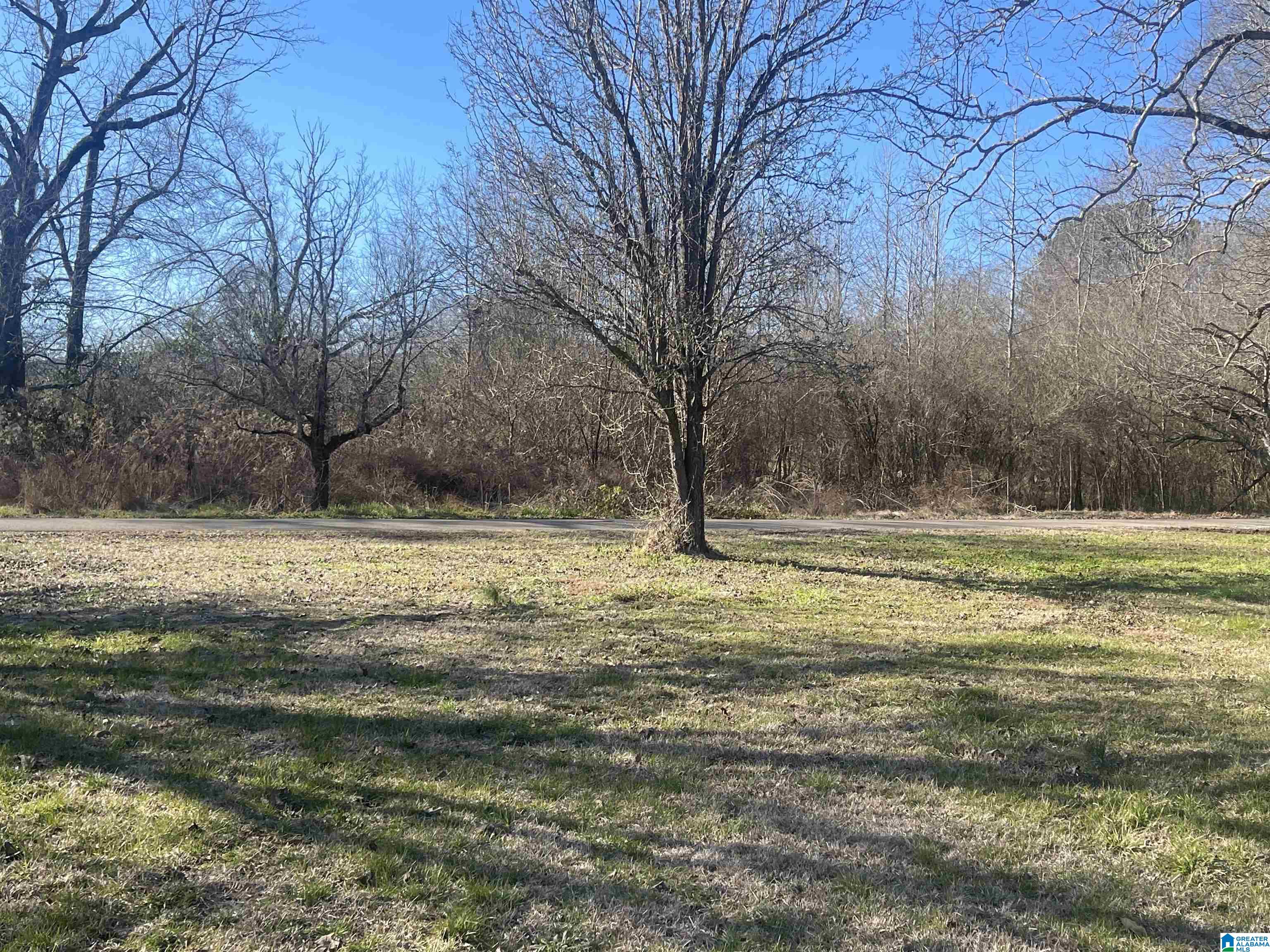 24 Brimer Road Anniston, AL 36207 - Photo 25 of 33