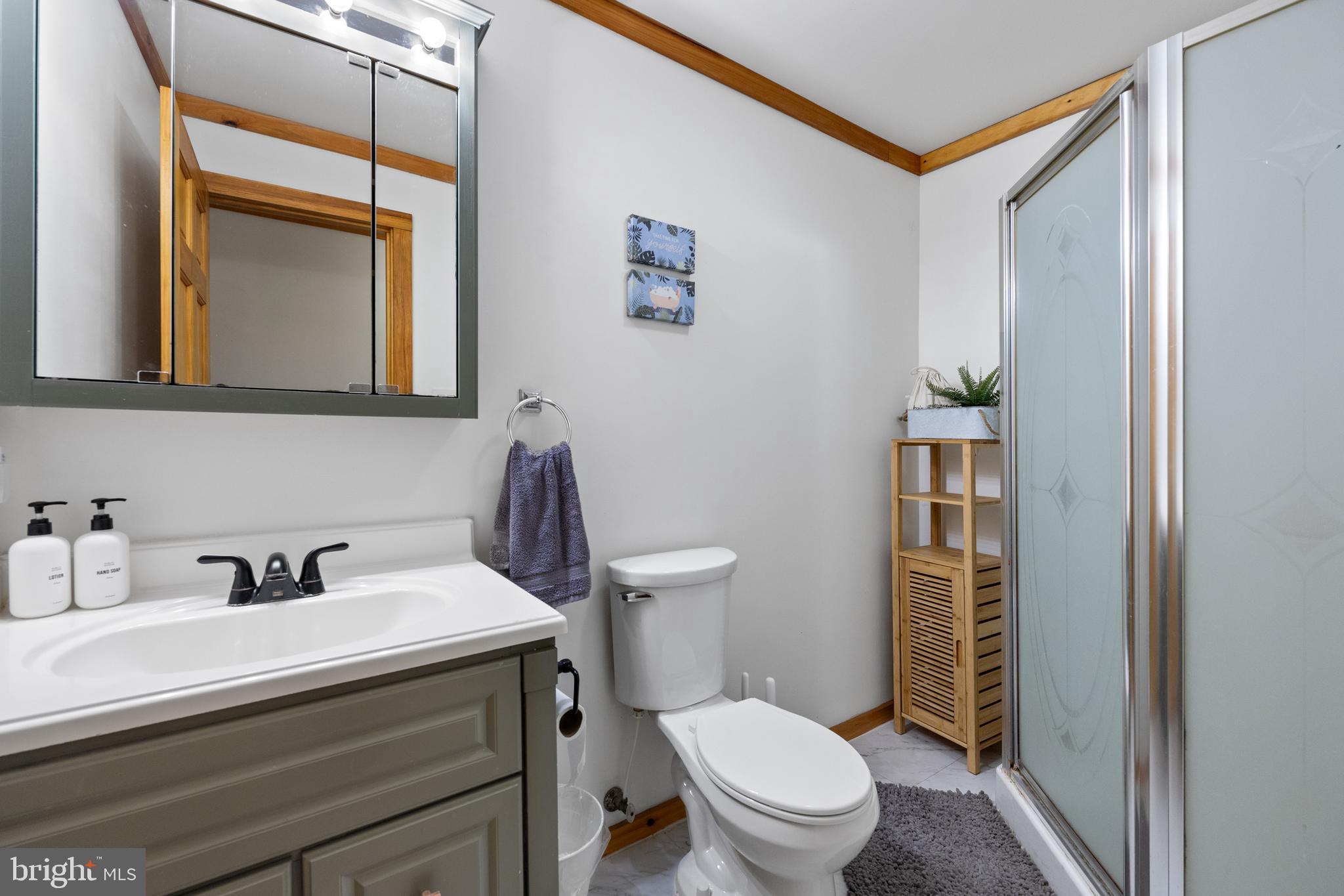 4220 South Middle Road Quicksburg, VA 22847 - Photo 17 of 59 Full Bath