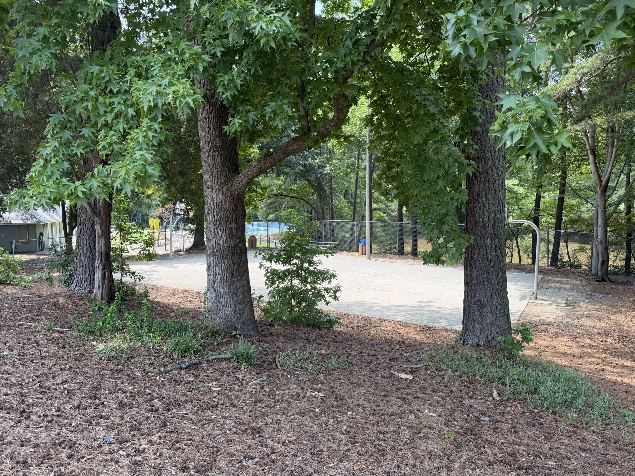 708 Powell Drive, Unit A Raleigh, NC 27606 - Photo 50 of 56 Basketball court at Park