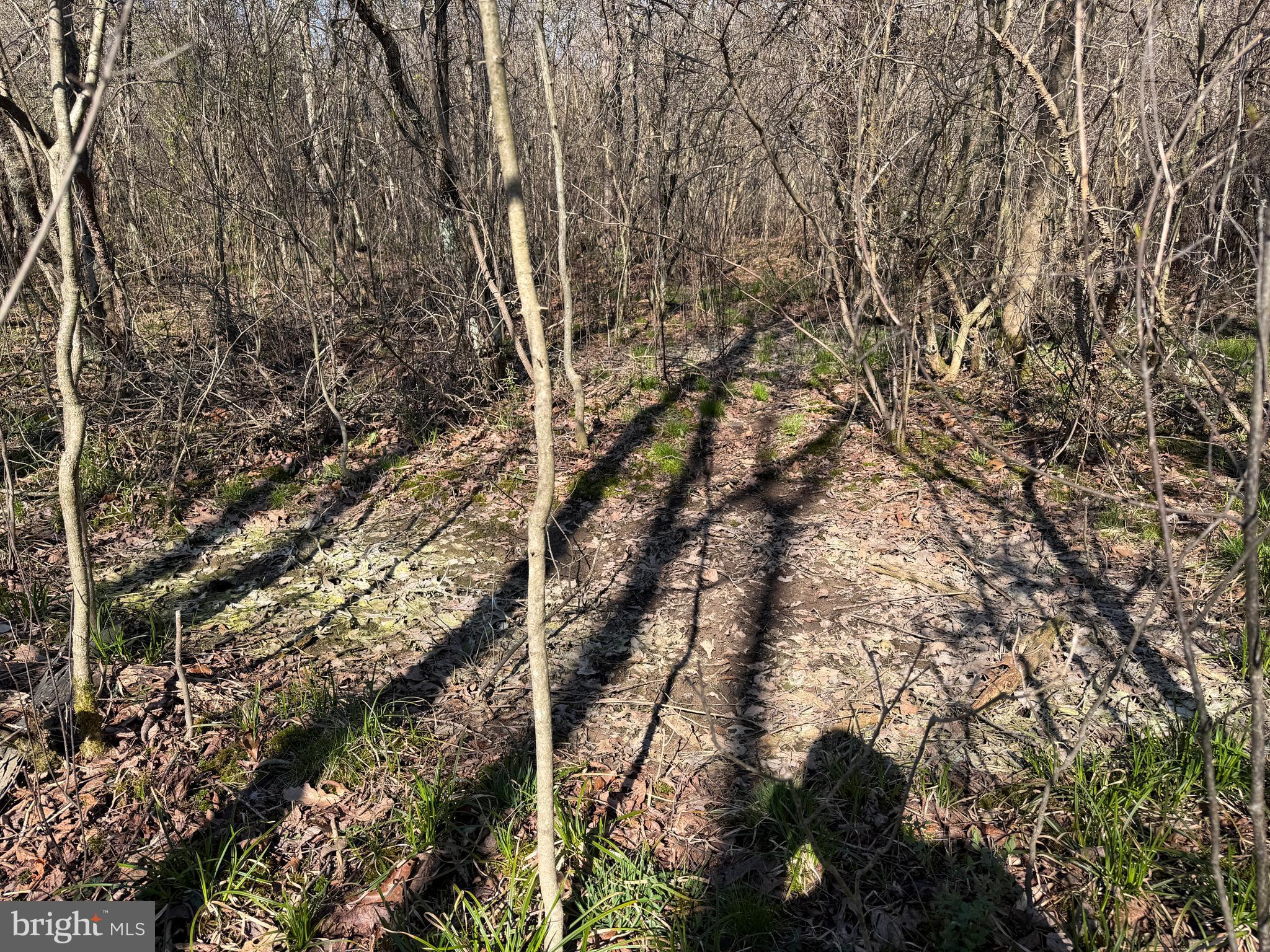 129-acres Black Hollow Road Schellsburg, PA 15559 - Photo 30 of 72