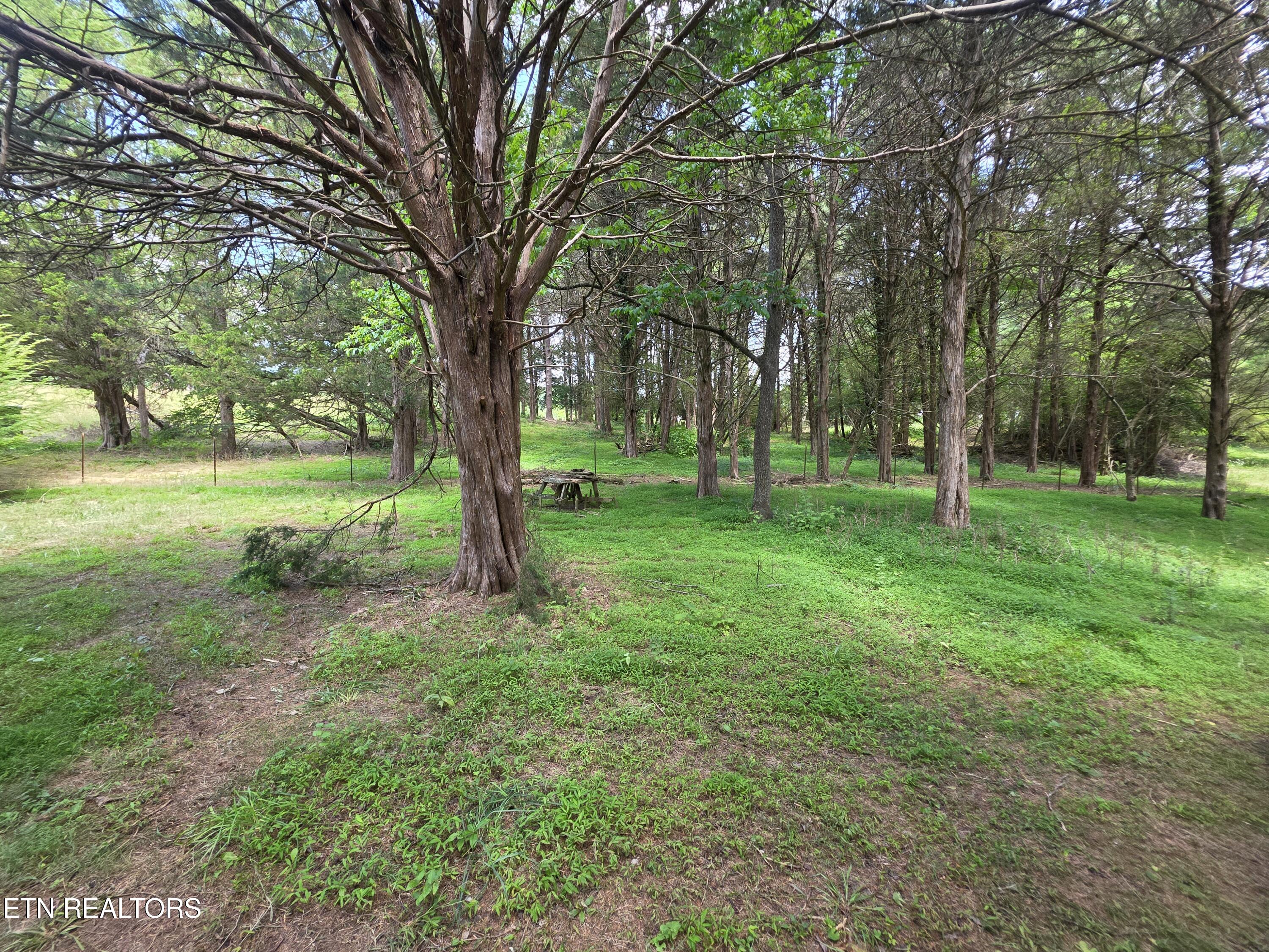 8050 Lett Road Corryton, TN 37721 - Photo 28 of 30 Front