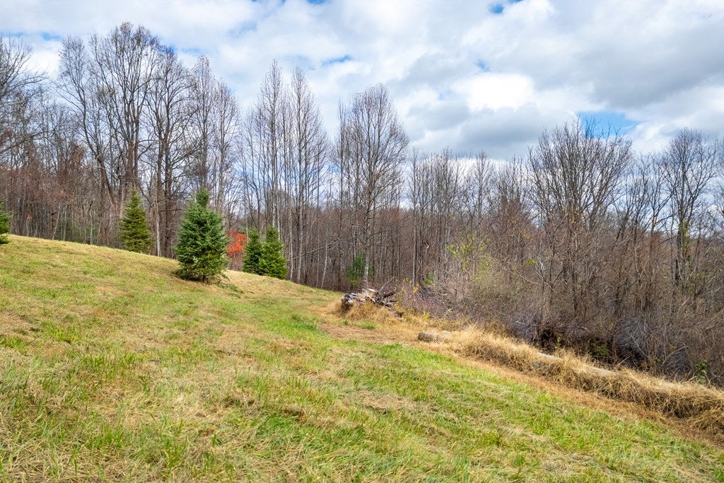 3.8-acre Dogwood Ridge, Unit 2B Fancy Gap, VA 24328 - Photo 25 of 39 Gallery Image 25