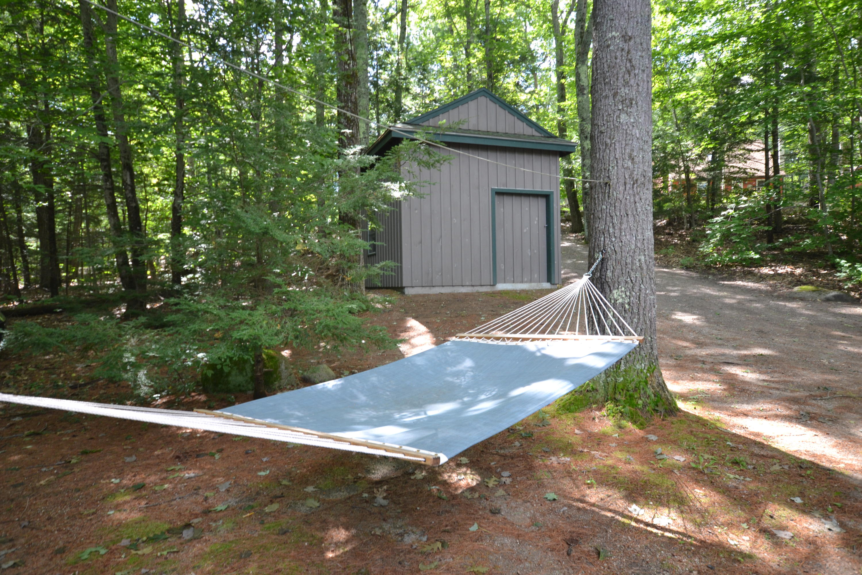 55 Swans Road Raymond, ME 04071 - Photo 20 of 20 Yard