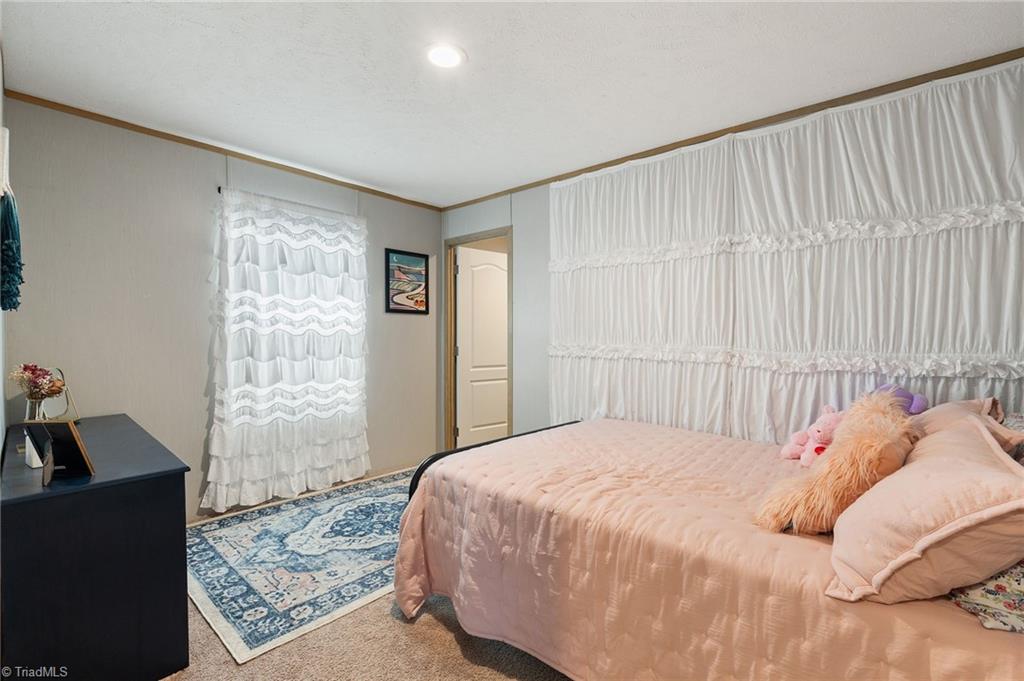 215 Lester Price Road Stoneville, NC 27048 - Photo 23 of 48