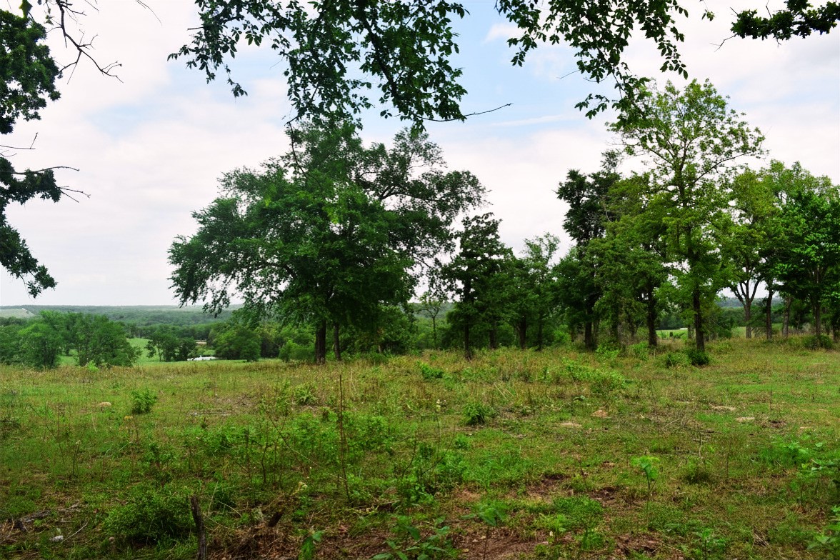 421 W West Buffalo, TX 75831 - Photo 11 of 22 a view of a green field with lots of bushes