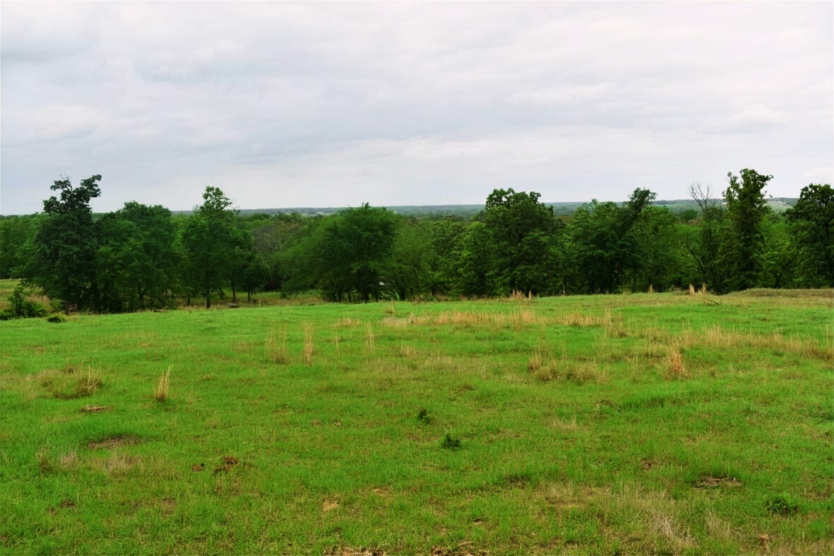 421 W West Buffalo, TX 75831 - Photo 12 of 22 a view of a green field with wooden fence