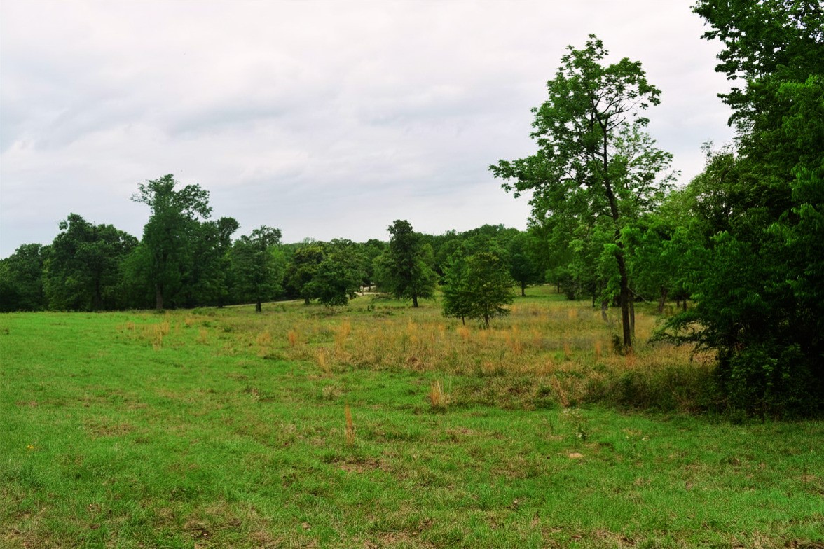 421 W West Buffalo, TX 75831 - Photo 13 of 22 a view of a garden