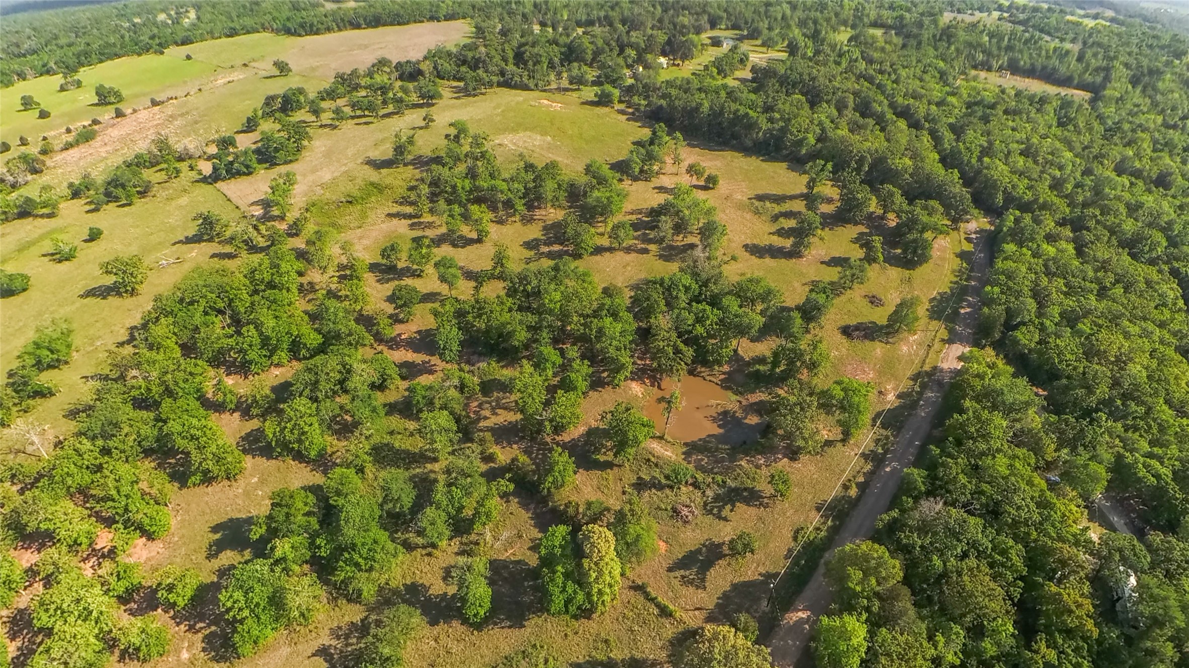 421 W West Buffalo, TX 75831 - Photo 19 of 22 a view of a yard covered with trees