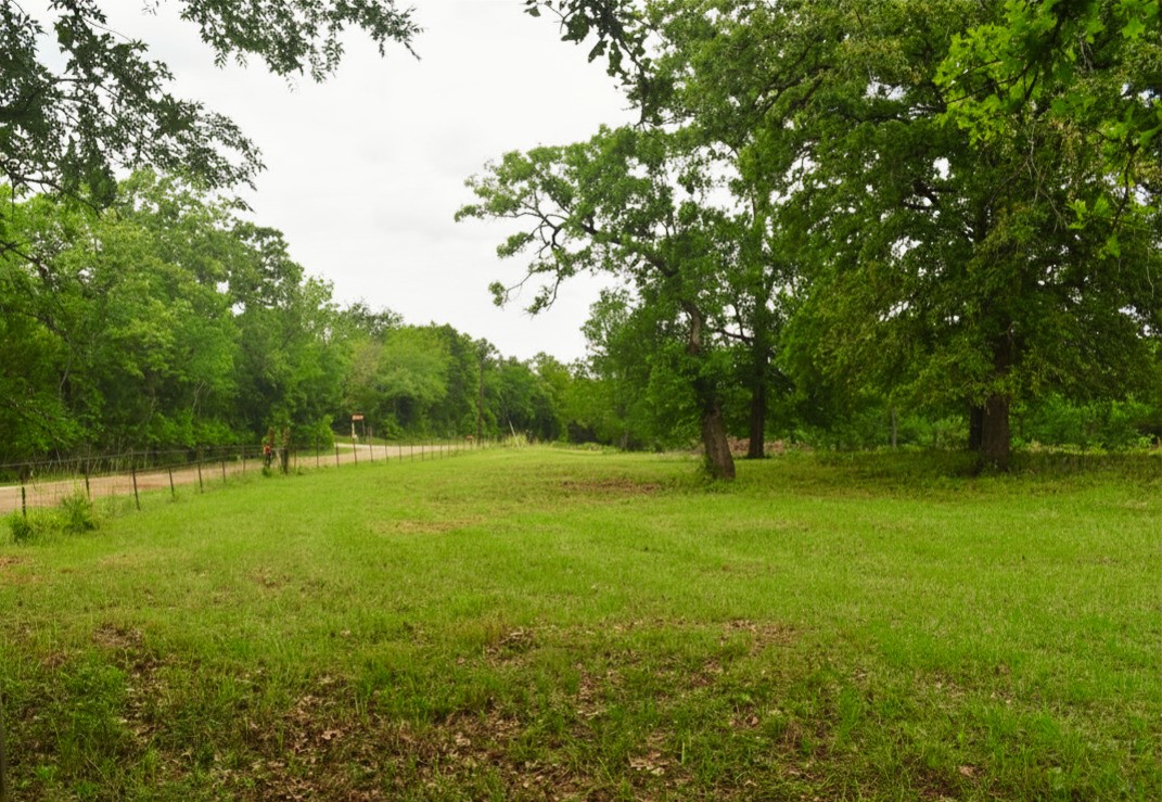 421 W West Buffalo, TX 75831 - Photo 2 of 22 a view of a field with a tree