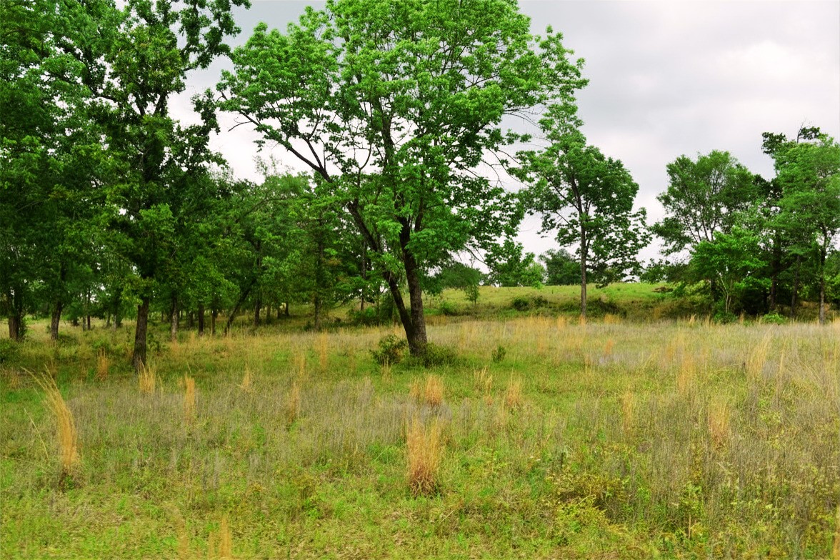 421 W West Buffalo, TX 75831 - Photo 4 of 22 a view of a lake view with a large trees