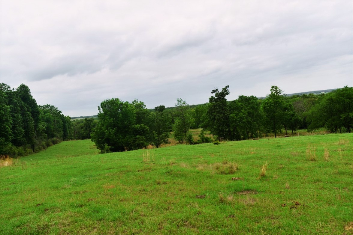 421 W West Buffalo, TX 75831 - Photo 5 of 22 a view of a grassy field with trees in the background