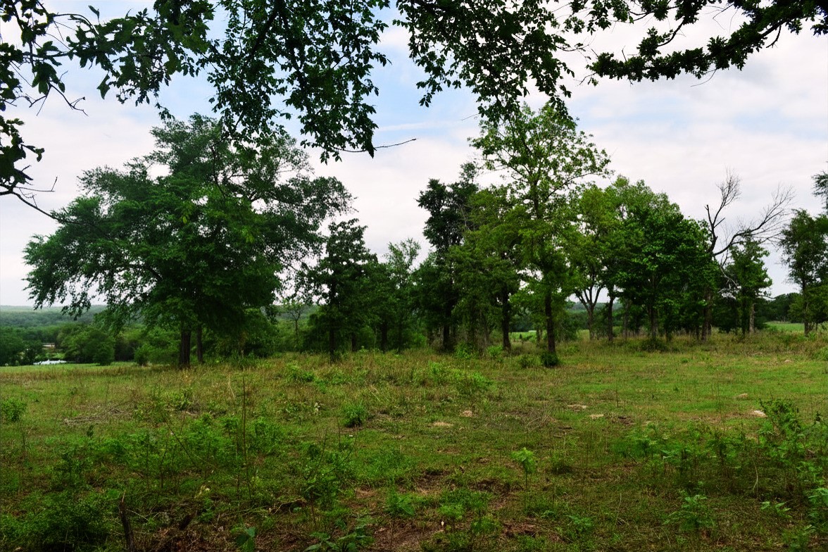 421 W West Buffalo, TX 75831 - Photo 10 of 22 a view of a green field
