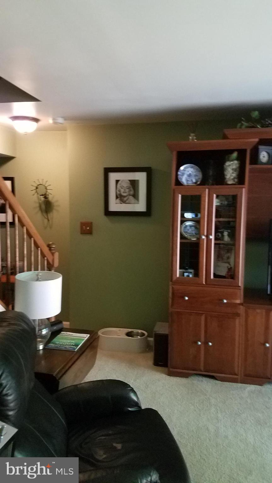 213 Carolstowne Road Reisterstown, MD 21136 - Photo 62 of 81 Gallery Image 62