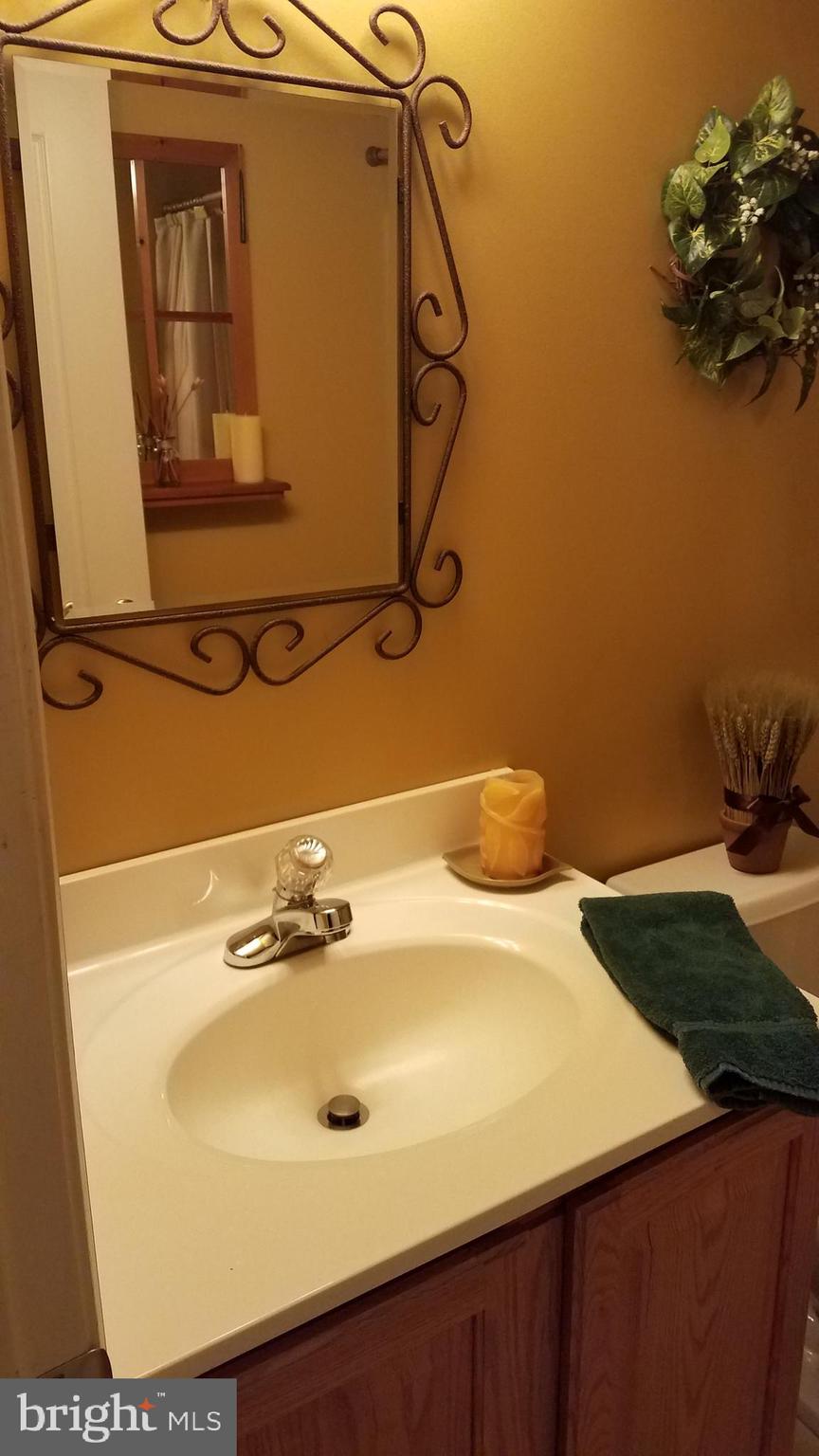 213 Carolstowne Road Reisterstown, MD 21136 - Photo 73 of 81 Gallery Image 73