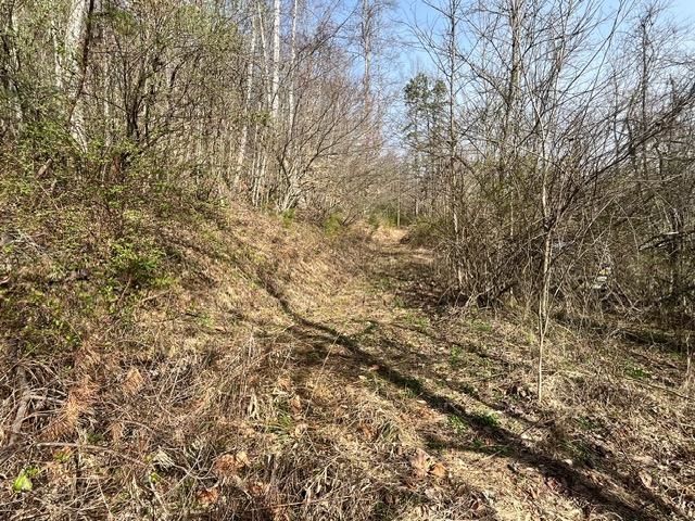 326 Earl Crisp Road Sandy Hook, KY 41171 - Photo 10 of 10