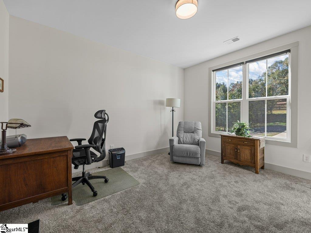 2355 Mays Bridge Road Greer, SC 29651 - Photo 33 of 50