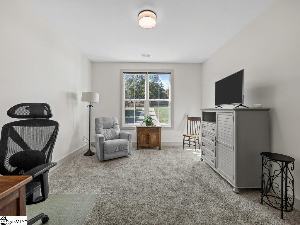 2355 Mays Bridge Road Greer, SC 29651 - Photo 34 of 50