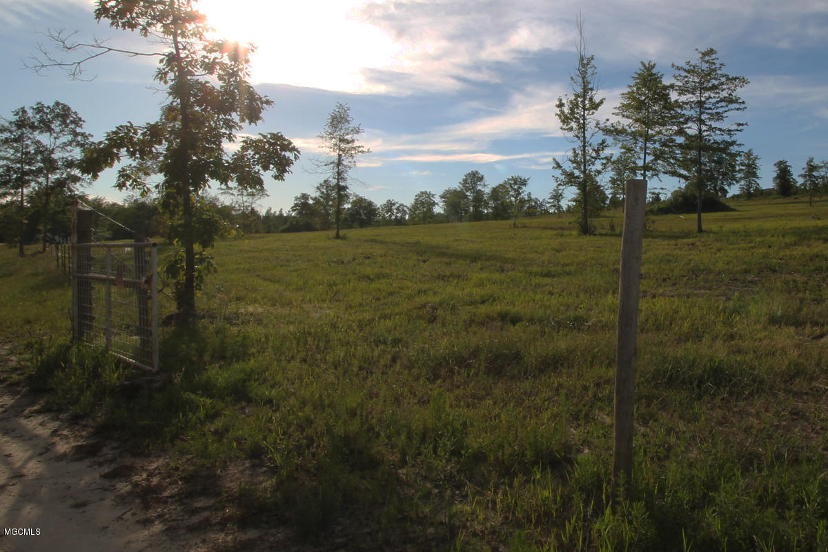 625 St Ellen Road Leakesville, MS 39451 - Photo 7 of 31 5 (9)