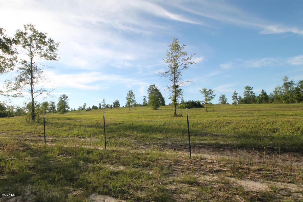 625 St Ellen Road Leakesville, MS 39451 - Photo 8 of 31 5 (10)