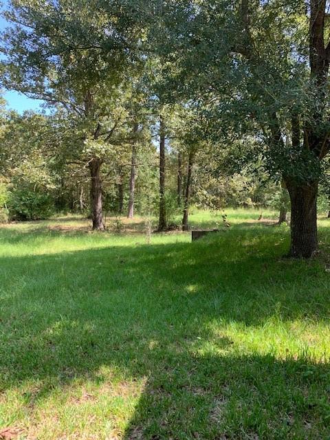 2943 Posey Road Natchitoches, LA 71457 - Photo 12 of 45 Gallery Image 12