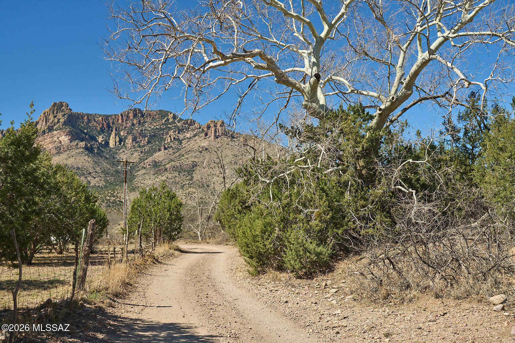 Tbd South Cathedral Rock Road San Simon, AZ 85632 - Photo 2 of 12 a view of a yard with plants and trees