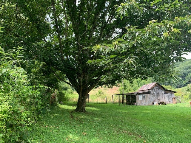 4687 Witten Valley Road Tazewell, VA 24651 - Photo 14 of 15 Gallery Image 14