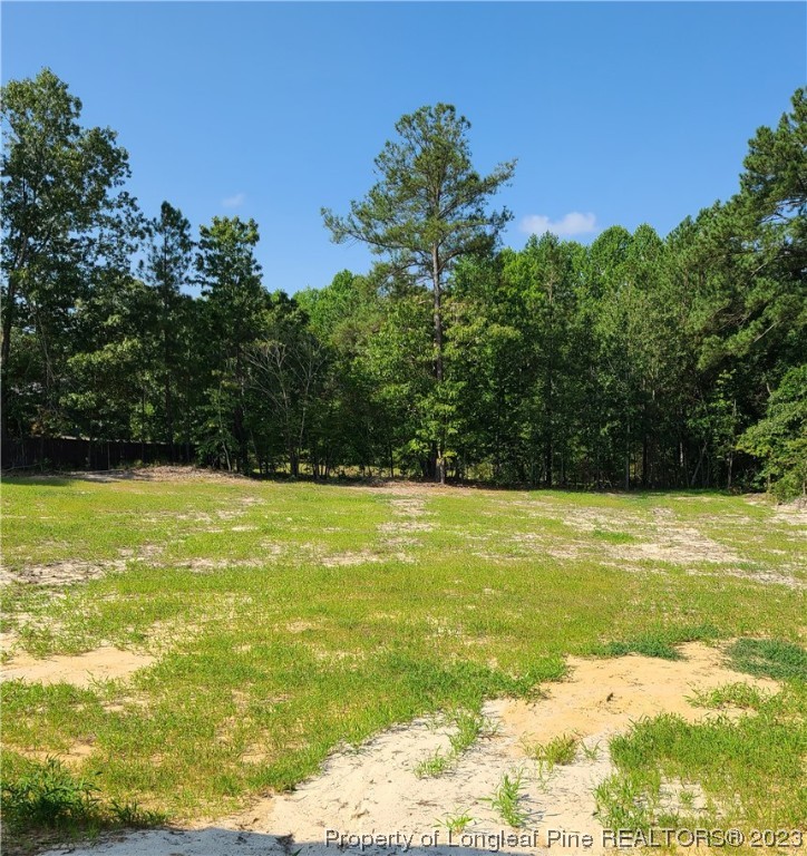 59 Basswood Ct Spring Lake Spring Lake, NC 28390 - Photo 20 of 23