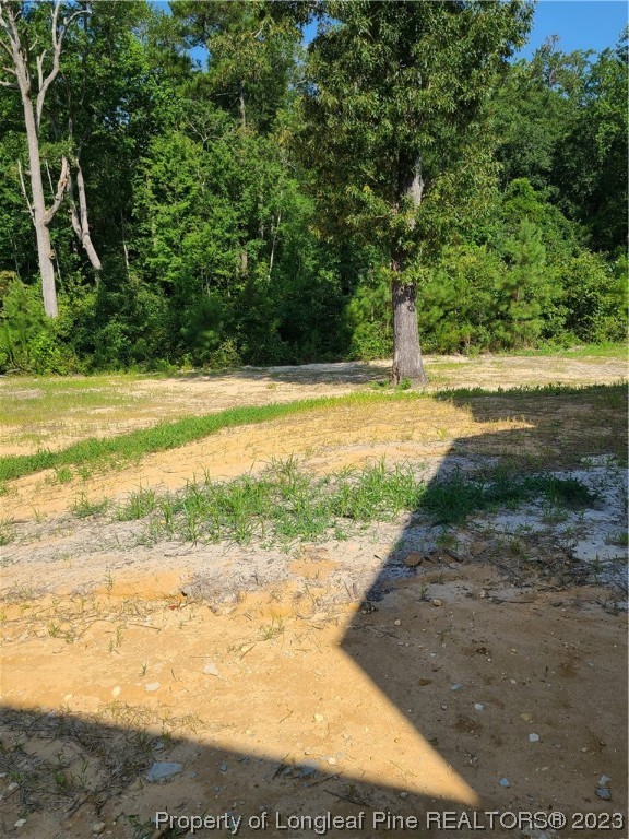 59 Basswood Ct Spring Lake Spring Lake, NC 28390 - Photo 21 of 23
