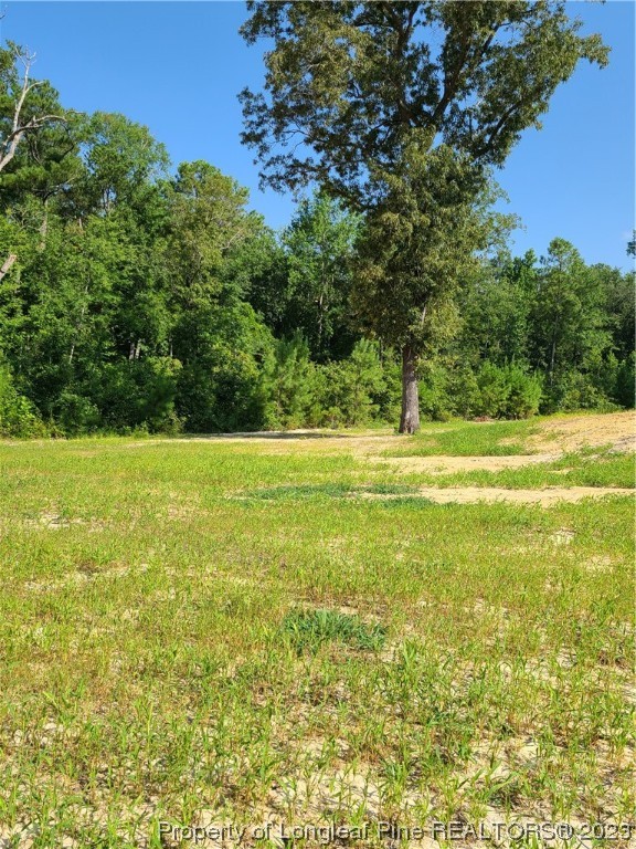 59 Basswood Ct Spring Lake Spring Lake, NC 28390 - Photo 22 of 23