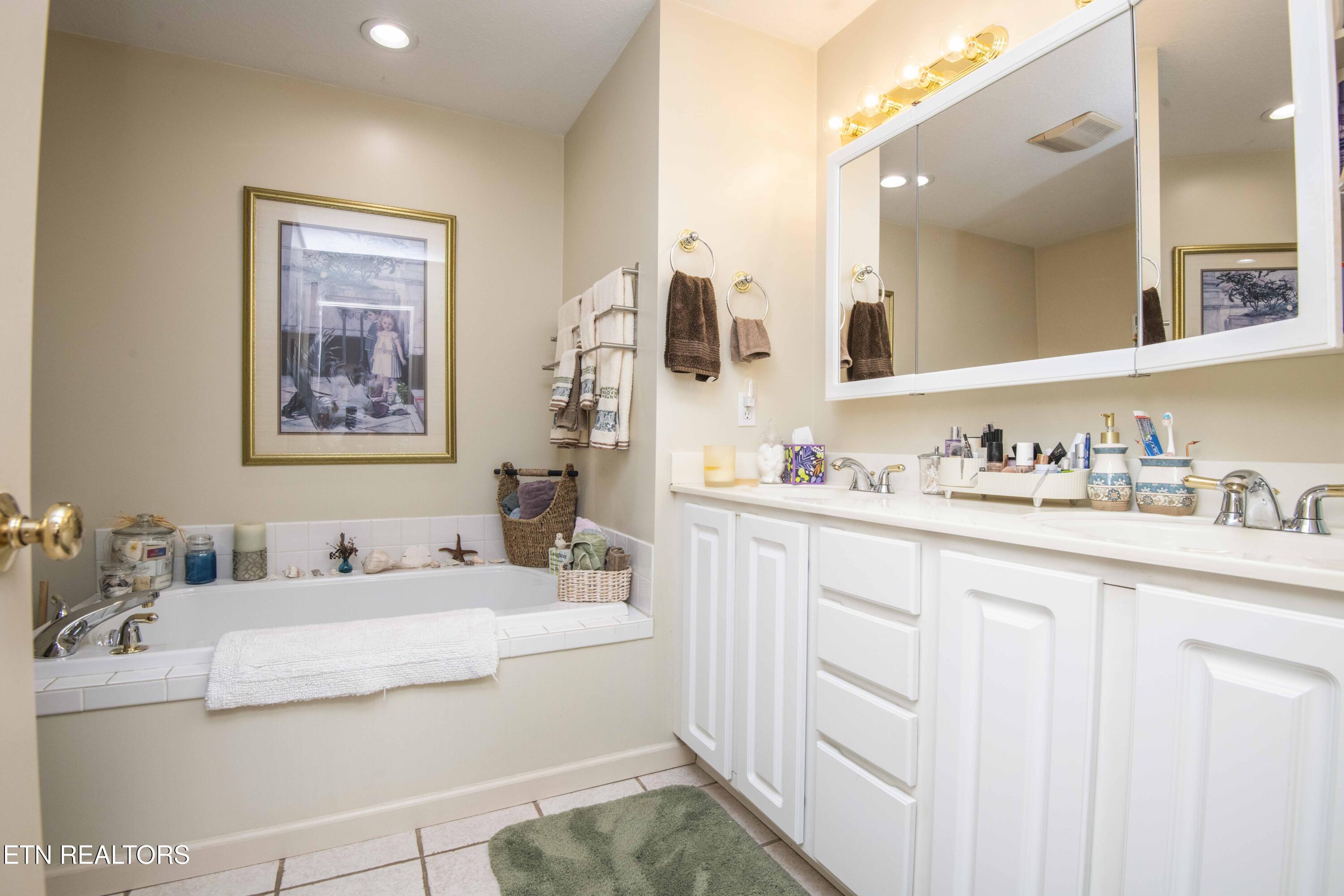 1217 Topside Road Louisville, TN 37777 - Photo 15 of 32 master bath