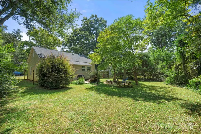 a view of a park with large trees