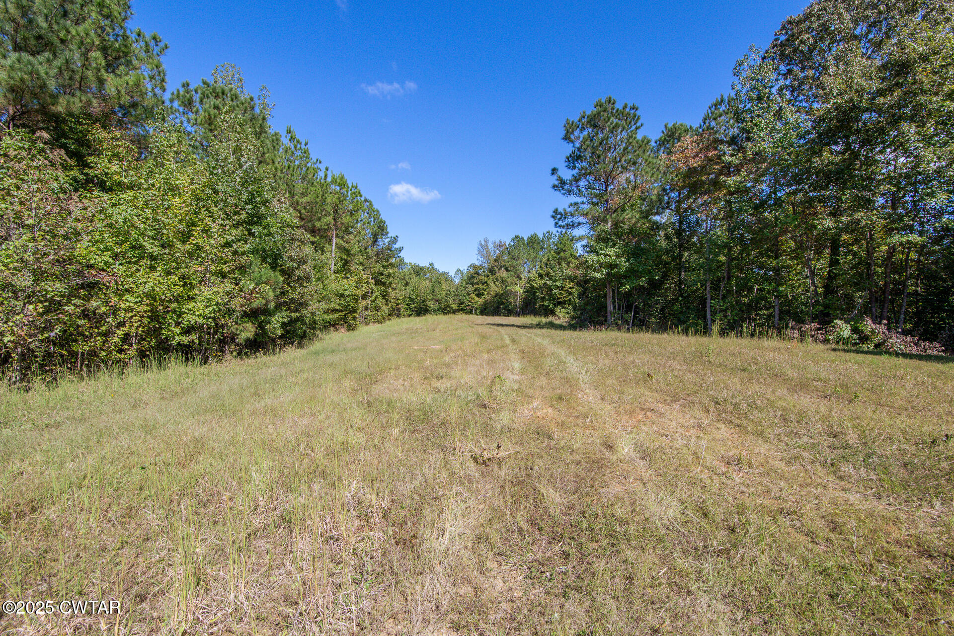 424 Firetower Road Camden, TN 38320 - Photo 11 of 74 424 Firetower Rd Camden TN-91