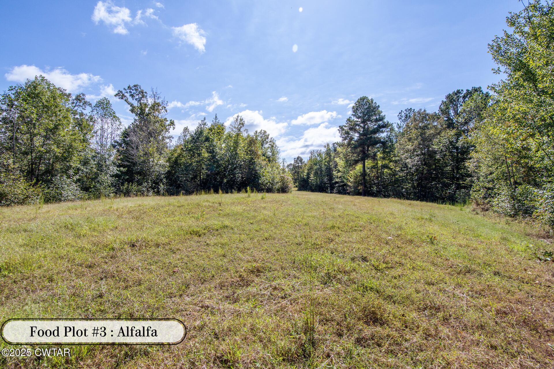 424 Firetower Road Camden, TN 38320 - Photo 12 of 74 Food Plot #1-8
