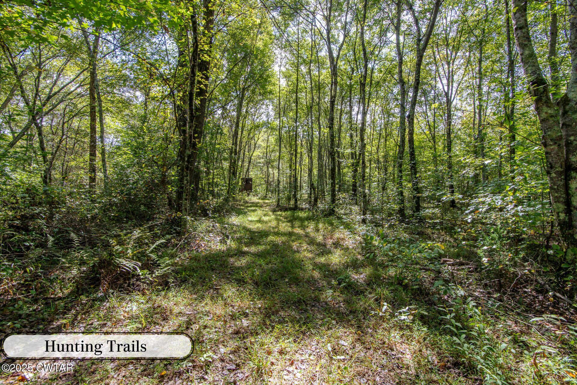 424 Firetower Road Camden, TN 38320 - Photo 13 of 74 Food Plot #1-10