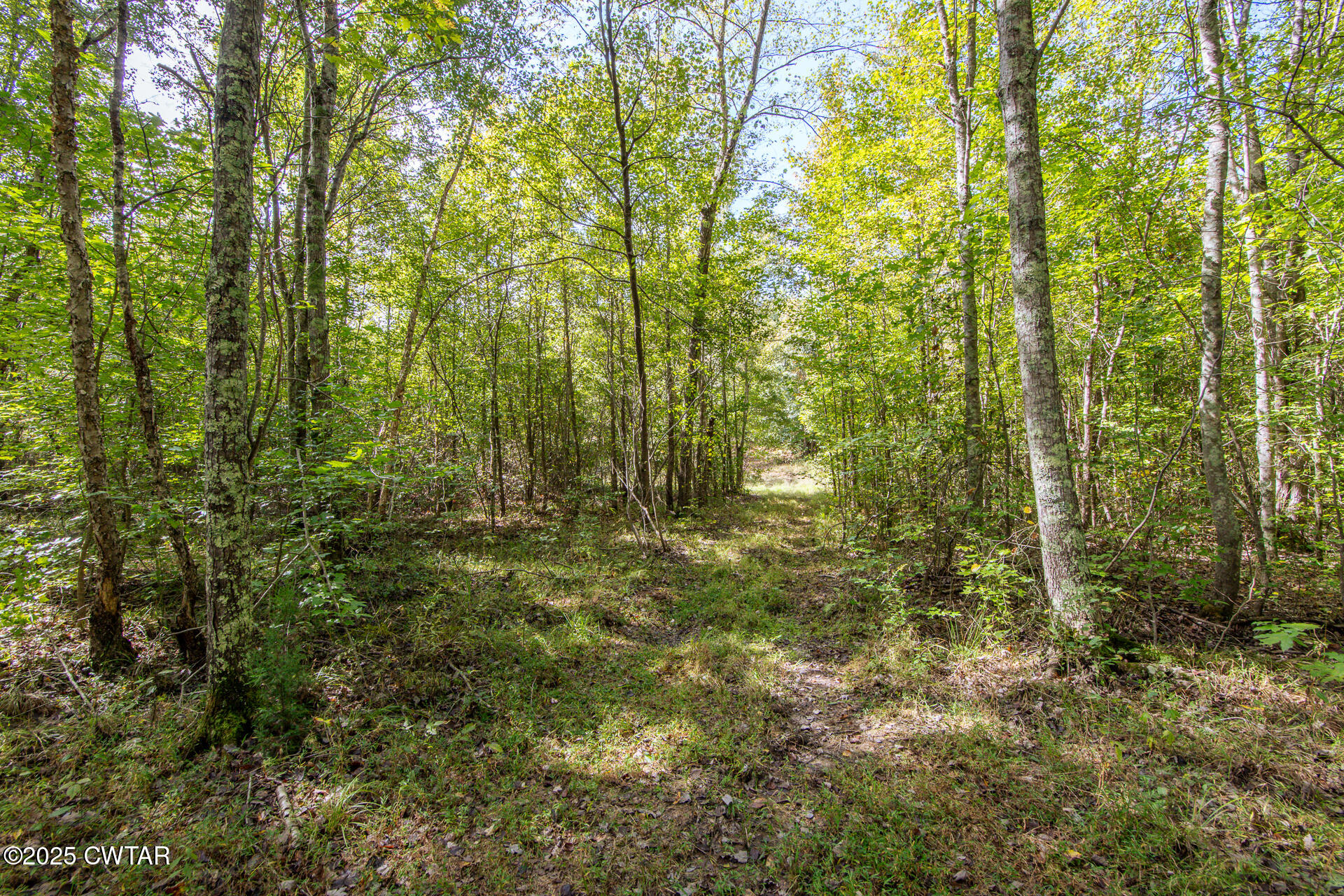 424 Firetower Road Camden, TN 38320 - Photo 14 of 74 424 Firetower Rd Camden TN-75